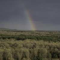Rainbow in the trees in the forest landscape at Quincy Bluff, Wisconsin