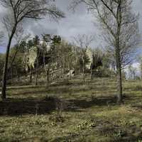 Rock Bluff with Trees and landscape in Quincy Bluff, Wisconsin