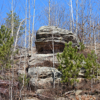 Rocky Bluff and Trees at Quincy Bluff