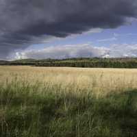 Storm clouds over the landscape with trees at Quincy Bluff, Wisconsin