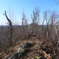 Thorny and rough Ridge trail