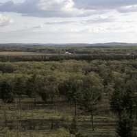 Trees and forest and farm landscape in Quincy Bluff, Wisconsin