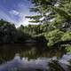 Trees and River landscape at Lake Eau Claire Park, Wisconsin