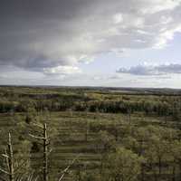 Trees over the landscape from Quincy Bluff, Wisconsin with clouds