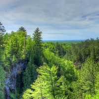 Viewing the Forest at Pattison State Park, Wisconsin