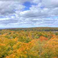 Bright Autumn Trees at Peninsula State Park, Wisconsin