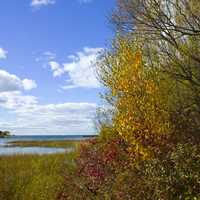 Fall colors of the peninsula at Peninsula State Park, Wisconsin