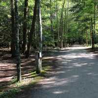 Nature Path in Park in Peninsula State Park, Wisconsin