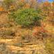 Autumn Foliage at Perrot State Park, Wisconsin