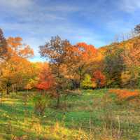 Great colorful autumn landscape at Perrot State Park, Wisconsin