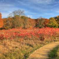 Hiking through the Prairie at Perrot State Park, Wisconsin