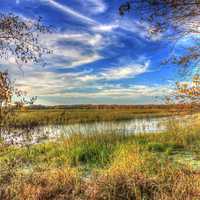 Marshy landscape on the backwaters at Perrot State Park, Wisconsin