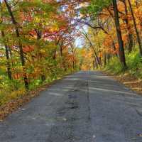 More Autumn Roadways at Perrot State Park, Wisconsin