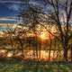 Sunset through the trees at Perrot State Park, Wisconsin