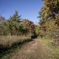 Hiking Trail at Pike Lake State Park, Wisconsin