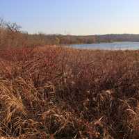 Lake via Marsh at Pike Lake State Park, Wisconsin