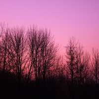 Purple sky over trees at Pike Lake State Park, Wisconsin