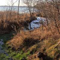 Stream flowing into lake at Pike Lake State Park