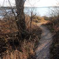 Trail into Lake at Pike Lake State Park, Wisconsin