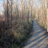 Wooden Walkway at Pike Lake State Park