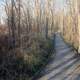 Wooden Walkway at Pike Lake State Park