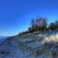 Shore at the beach