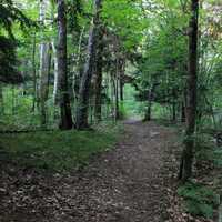 Nature trail at Point Beach State Park, Wisconsin