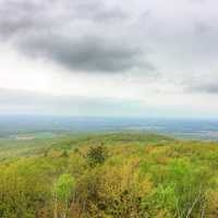 Forest under overcast skies at Rib Mountain State Park, Wisconsin