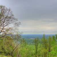 Forest from the top at Rib Mountain State Park, Wisconsin