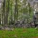 Large Rocks and Trees at Rib Mountain State Park, Wisconsin