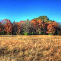 Bluff from Afar at Roche-A-Cri State Park, Wisconsin