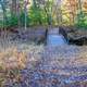 Bridge at Roche-A-Cri State Park, Wisconsin