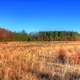 Field and Trail at Roche-A-Cri State Park, Wisconsin