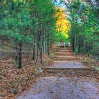 Path up to bluff at Roche-A-Cri State Park, Wisconsin