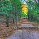 Path up to bluff at Roche-A-Cri State Park, Wisconsin