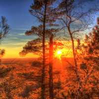 Sun setting behind trees at Roche-A-Cri-State-Park, Wisconsin