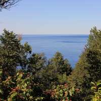 View through the clearing at Rock Island State Park, Wisconsin