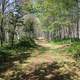 Hiking Path at Rock Island State Park, Wisconsin