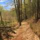 Hiking Trail at Rocky Arbor State park, Wisconsin