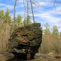 Rock island in the swamp at Rocky Arbor State Park, Wisconsin