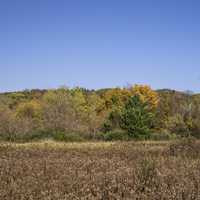 Autumn color on the trees near Holy Hill, Wisconsin