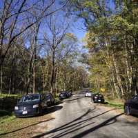 Autumn Trees with Cars on the Road in Morton County Forest, Wisconsin