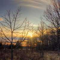 Beckman Mill, late afternoon sun over the trees in Wisconsin