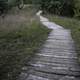 Boardwalk Path at Ferry Bluff