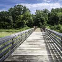 Bridge Path at Camrock County Park
