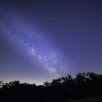 Bright Galaxy Above the Trees