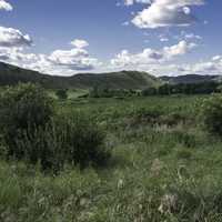 Bushes, Grassland, and hills landscape at Hogback Prairie