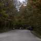 Cars on the Autumn road under leaves