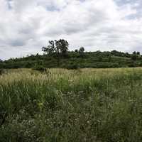 Clouds over grasses and trees at Goose Lake State Wildlife Area