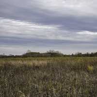 Cloudy Prairie Landscape at Faville Grove